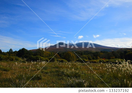【青森縣】八甲田山的秋葉 133237192