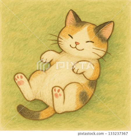 Sleeping cat 133237367