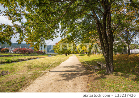 Kamogawa scenery in autumn 133237426
