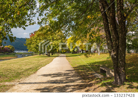 Kamogawa scenery in autumn 133237428