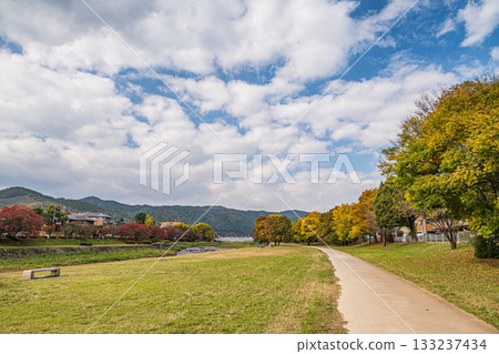 秋天的鴨川風景 秋天的鴨川風景 133237434