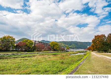 秋天的鴨川風景 秋天的鴨川風景 133237440