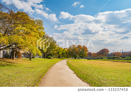 秋天的鴨川風景 133237458