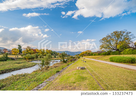 秋天的鴨川風景 133237473