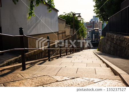 Scenery of Kiyomizuzaka 133237527