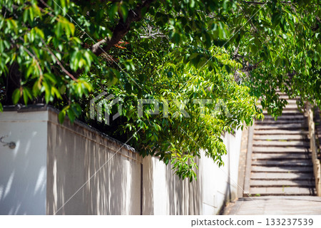 口川坂的景色 133237539