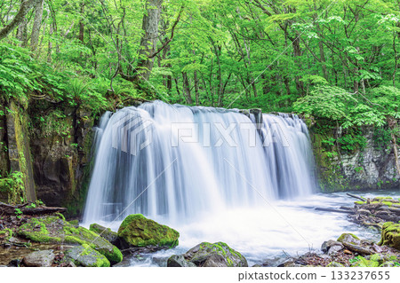 青森縣十和田市奧入瀨峽谷的銚子瀑布，初夏時節 133237655