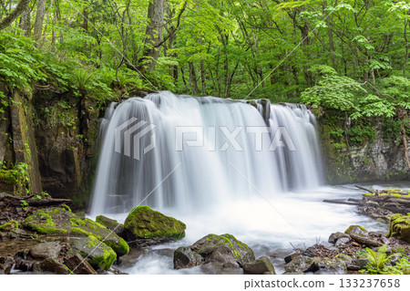 Choshi Falls, Oirase Gorge in early summer, Towada City, Aomori Prefecture Choshi Falls, Oirase Gorge in early summer, Towada City, Aomori Prefecture 133237658