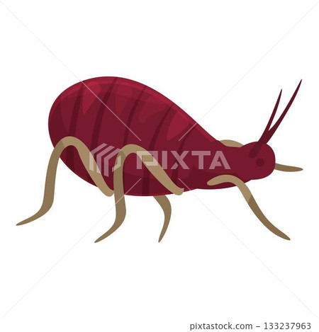 Red mite crawling, parasite insect spreading diseases 133237963