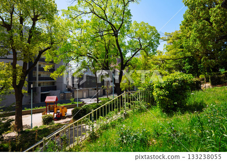 View of Shimizudani Park 133238055