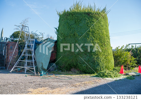 gardener, landscaper, pruning 133238121