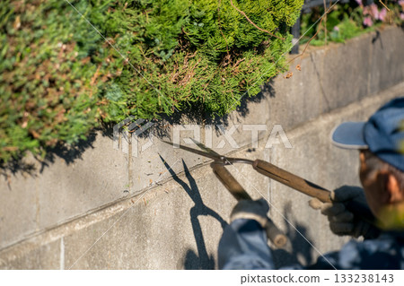 pruning, gents, male 133238143