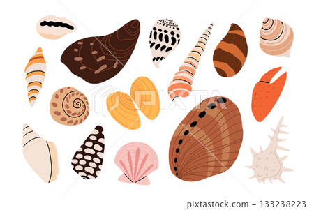Sea shell cartoon set. Ocean exotic underwater seashell conch aquatic mollusk, sea spiral snail collection. Tropical beach shells. Modern flat style isolated on white background. Vector illustration 133238223