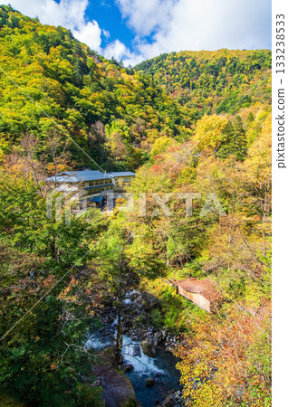 Shirahone Onsen Public Open-Air Bath in Autumn (Matsumoto City, Nagano Prefecture) Shirahone Onsen Public Open-Air Bath in Autumn (Matsumoto City, Nagano Prefecture) 133238533
