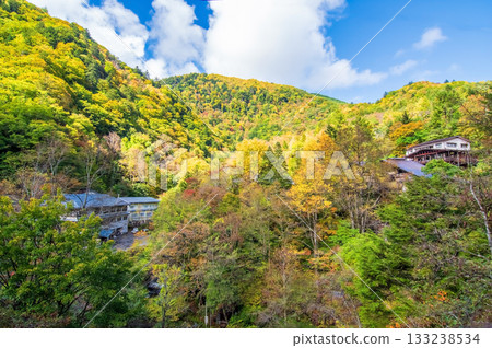 秋天的白骨溫泉(長野縣松本市) 秋天的白骨溫泉(長野縣松本市) 133238534