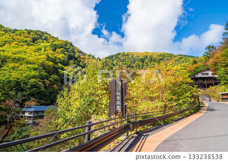 Shirahone Onsen in Autumn (Matsumoto City, Nagano Prefecture) Shirahone Onsen in Autumn (Matsumoto City, Nagano Prefecture) 133238538