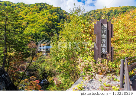 Shirahone Onsen in Autumn (Matsumoto City, Nagano Prefecture) 133238539
