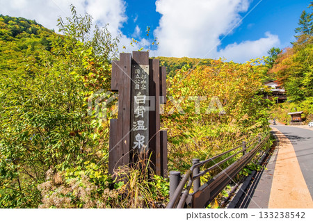 Autumn Shirahone Onsen Monument Sign (Matsumoto City, Nagano Prefecture) 133238542