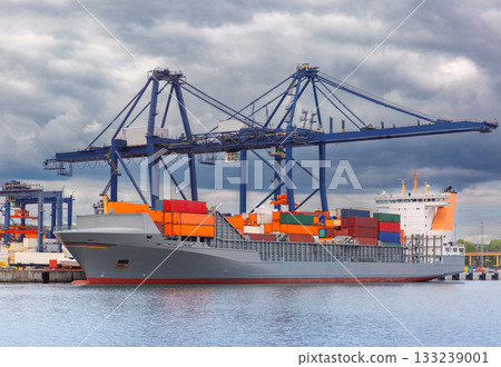 Container ship in the port of Gdynia, Poland 133239001