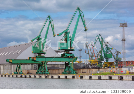 Port cranes in the industrial harbor of Gdynia, Poland Port cranes in the industrial harbor of Gdynia, Poland 133239009