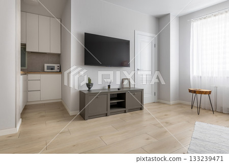 Bright Modern Living Room with TV and Minimalist Kitchen 133239471