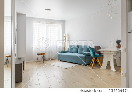 Cozy Bright Living Room Interior with Blue Sofa and Dining Table Cozy Bright Living Room Interior with Blue Sofa and Dining Table 133239474