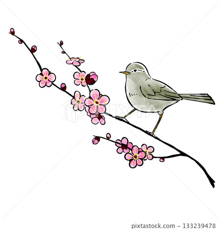 梅花與日本柳鶯_春_初春 133239478