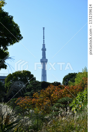 Mukojima Hyakkaen, autumn scenery 133239614