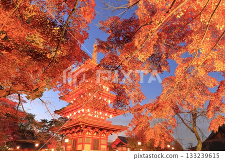 日野市高畑不動寺:五重塔與秋葉燈光秀 日野市高畑不動寺:五重塔與秋葉燈光秀 133239615