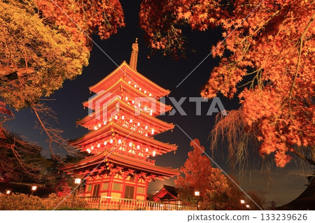 Takahatafudo Temple in Hino City: Five-story pagoda and autumn leaves illuminated 133239626