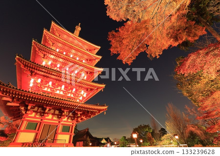 日野市高畑不動寺：五重塔與秋葉燈光秀 133239628
