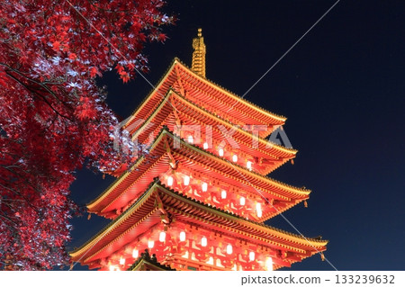 日野市高畑不動寺:五重塔與秋葉燈光秀 日野市高畑不動寺:五重塔與秋葉燈光秀 133239632