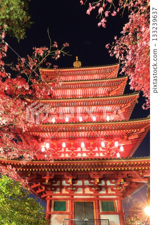 日野市高畑不動寺：五重塔與秋葉燈光秀 133239637