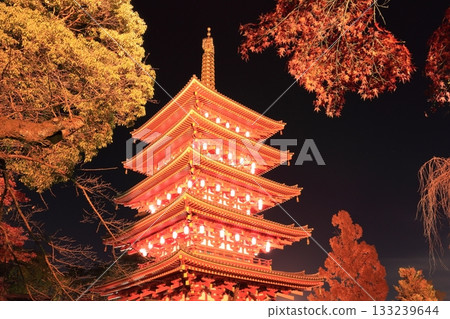 Takahatafudo Temple in Hino City: Five-story pagoda and autumn leaves illuminated Takahatafudo Temple in Hino City: Five-story pagoda and autumn leaves illuminated 133239644