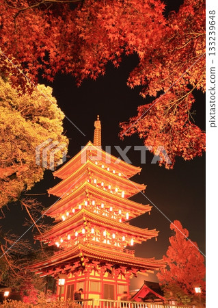 Takahatafudo Temple in Hino City: Five-story pagoda and autumn leaves illuminated 133239648