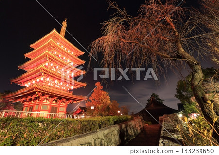 Takahatafudo Temple in Hino City: Five-story pagoda and autumn leaves illuminated 133239650