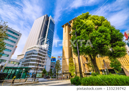 日本東京城市景觀新貌。池袋站和新建的摩天大樓“IT Tower TOKYO”。 133239742