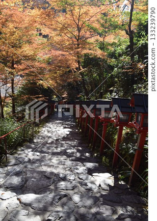 2025年11月16日 貴船神社 第十六屆 133239790
