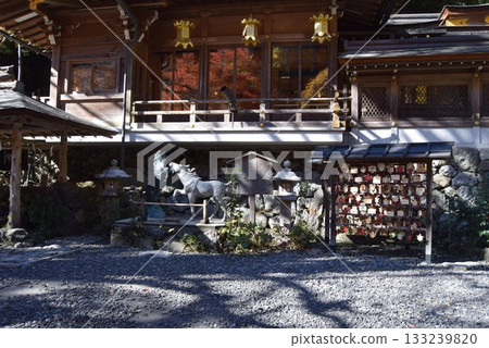 November 16, 2025 Kifune Shrine 16th November 16, 2025 Kifune Shrine 16th 133239820