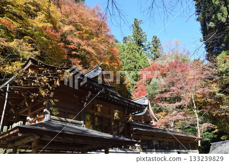 November 16, 2025 Kifune Shrine 16th November 16, 2025 Kifune Shrine 16th 133239829