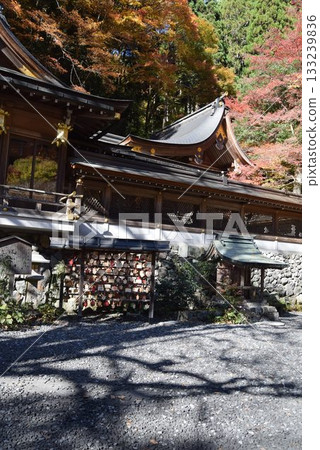 2025年11月16日 貴船神社 第十六屆 133239836