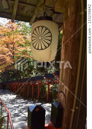 2025年11月16日 貴船神社 第十六屆 133239842