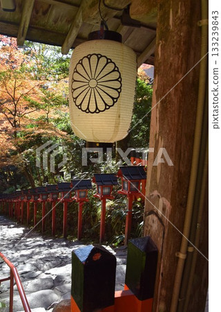 2025年11月16日 貴船神社 第十六屆 133239843