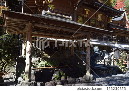 November 16, 2025 Kifune Shrine 16th 133239853