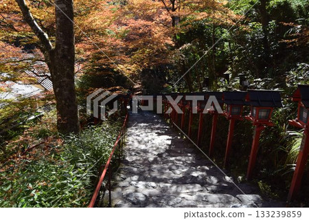 2025年11月16日 貴船神社 第十六屆 2025年11月16日 貴船神社 第十六屆 133239859