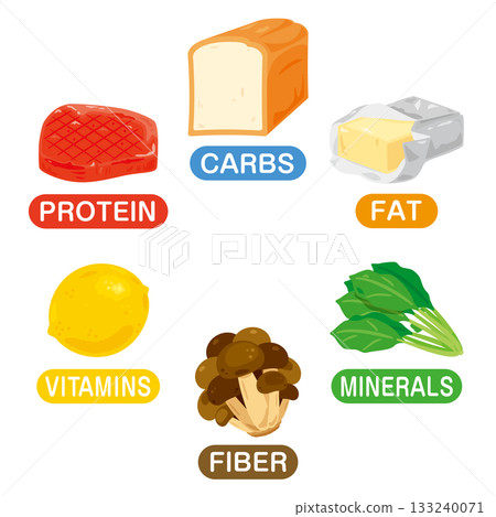 六大營養素食物插圖集(英文) 六大營養素食物插圖集(英文) 133240071