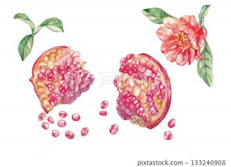 Hand drawn watercolor illustration of cherry blossoms 133240908