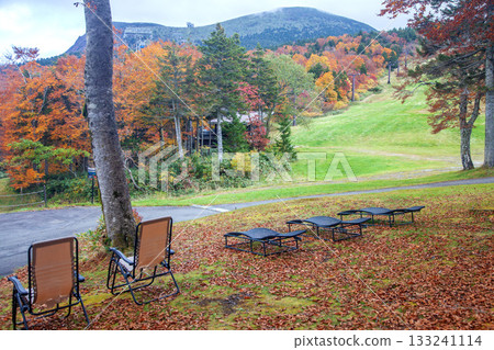 Autumn Zao Autumn Zao 133241114