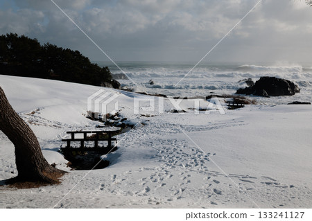Sunny Tanesashi Coast in midwinter 133241127