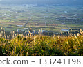 The rural landscape of Aso seen from Daikanbo 133241198